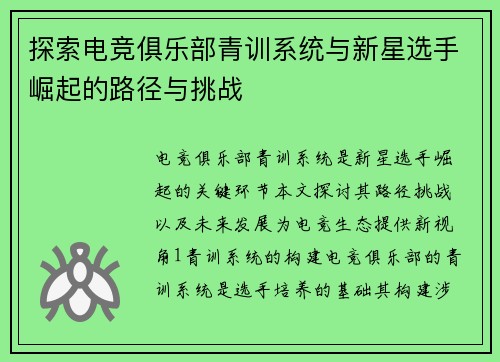 探索电竞俱乐部青训系统与新星选手崛起的路径与挑战